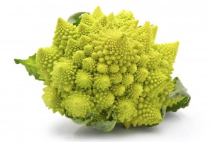 Romanesco broccoli cabbage (or Roman Cauliflower) isolated on white background