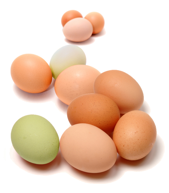 Fresh Pick of the Week: Eggs