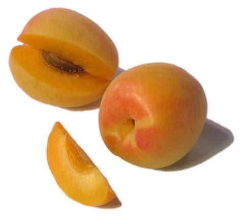 Fresh Pick of the Week: Early Apriums