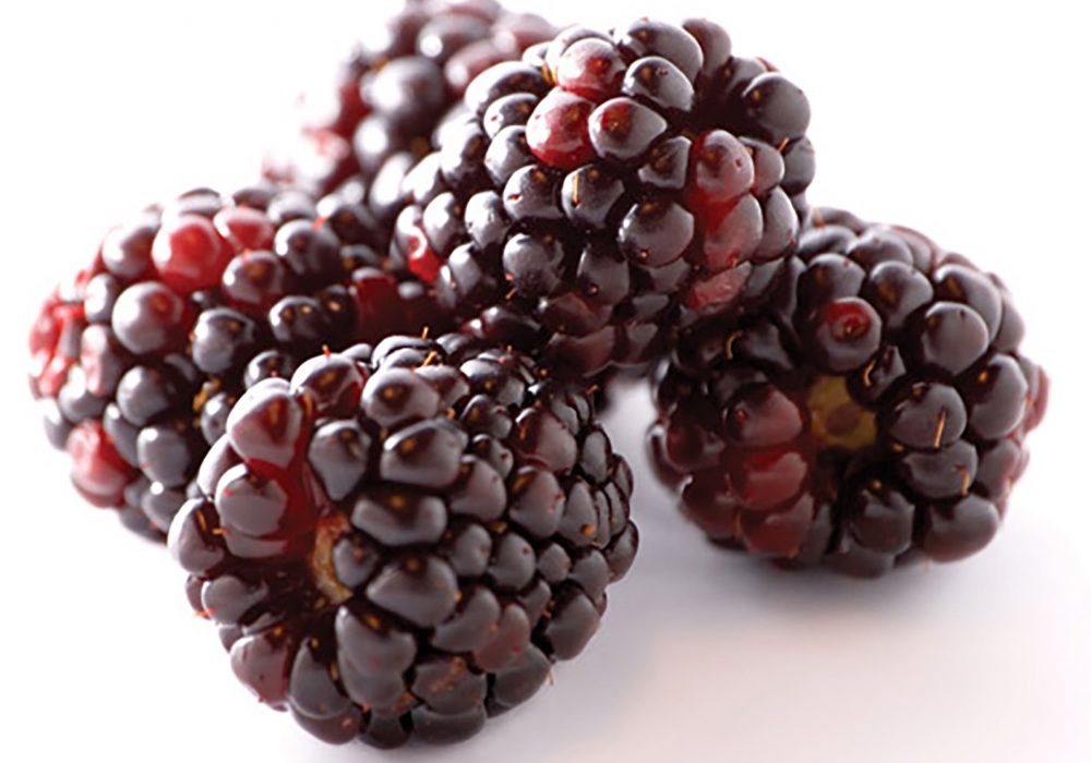 Fresh Pick of the Week: Boysenberries