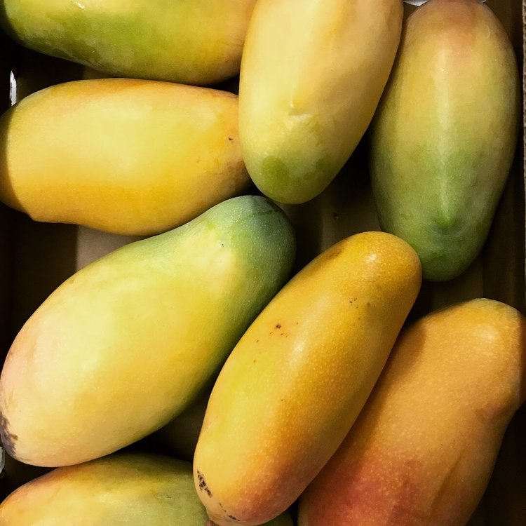 Mango